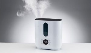 warm mist humidifier and a steam humidifier