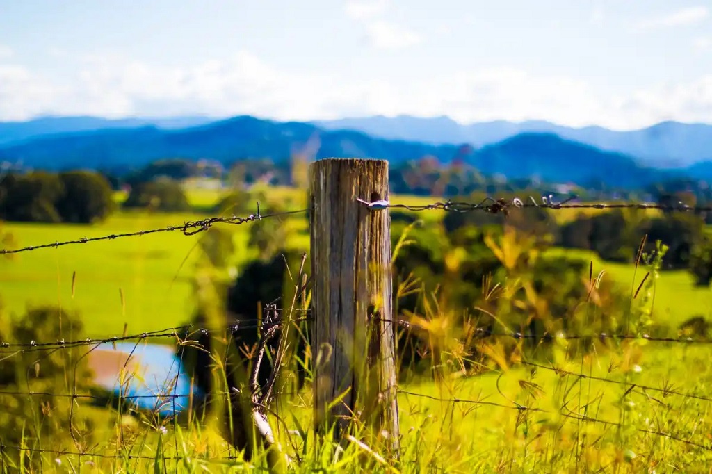 What is a Fence Pull Post? Exploring the Cornerstone of Sturdy Fences