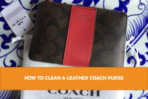 How to Clean Leather Coach Purse?