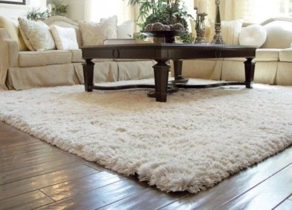 What is the best carpet for living room area?