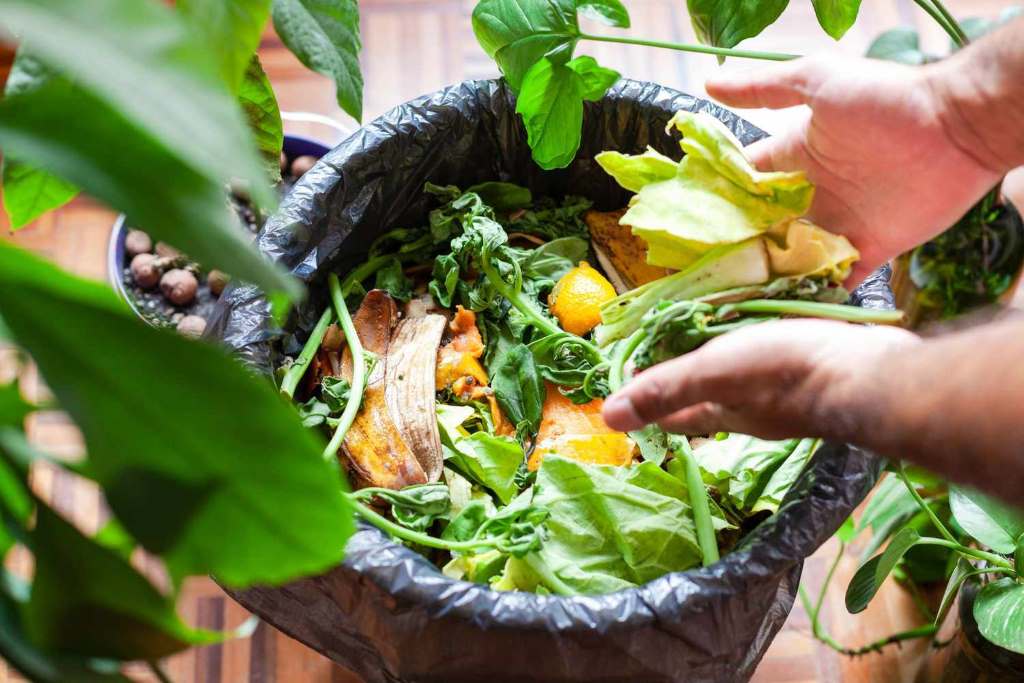 compost tea for blooming annuals