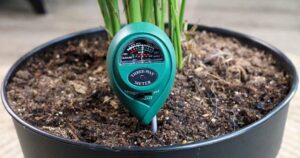 soil moisture meter