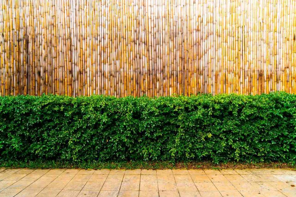Eco-Friendly Fencing, Panels & Sustainable Fence Materials