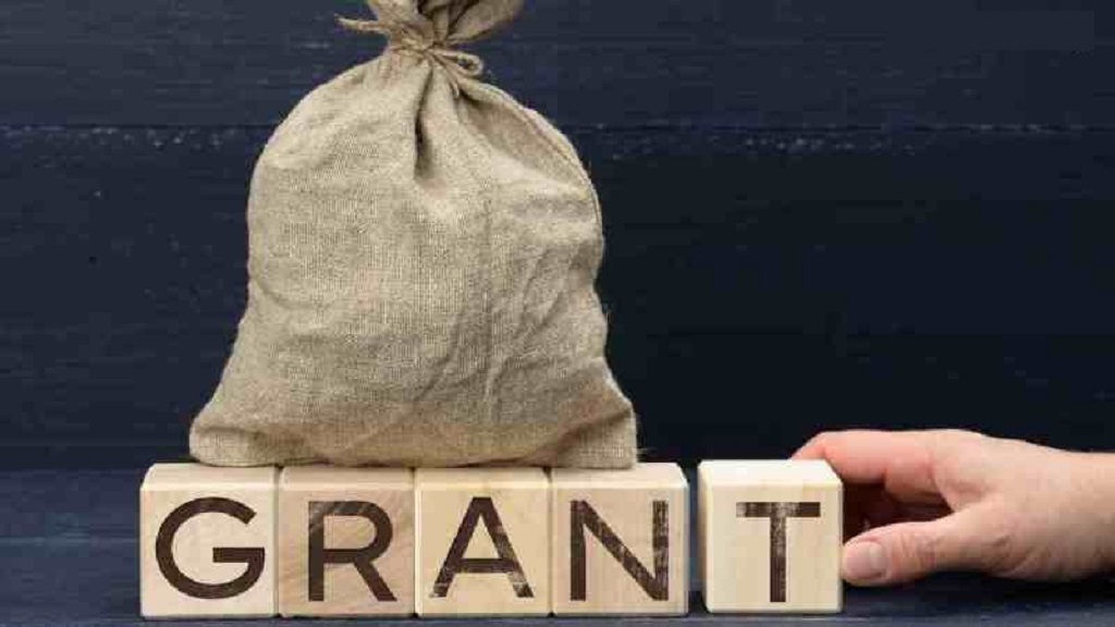Do I need to hire a professional grant writer to apply for government grants