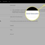 Screenshot showing Paramount Plus subscription cancellation page with cancel button highlighted