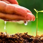Save Energy and Switch to Renewable Sources