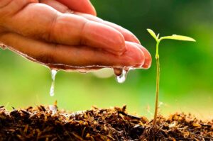 Save Energy and Switch to Renewable Sources