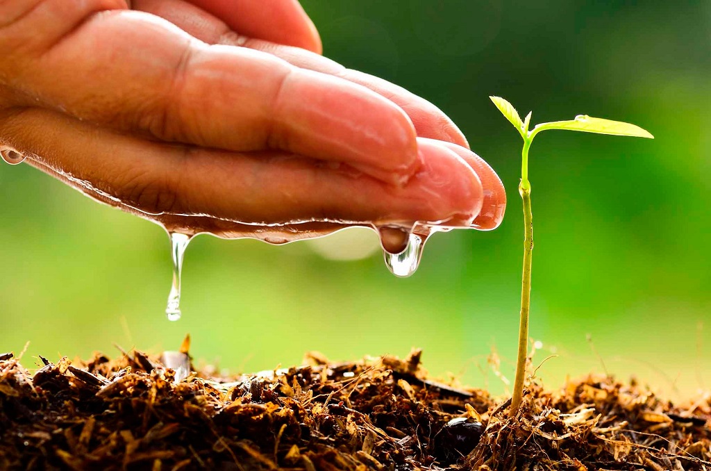 Save Energy and Switch to Renewable Sources