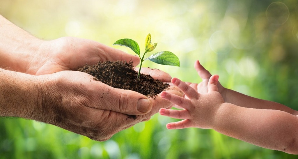 Plant Trees and Support Reforestation Projects