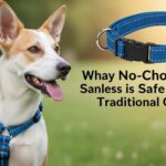 No-choke dog harness distributing pressure across chest instead of neck