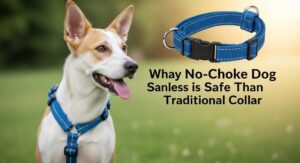 No-choke dog harness distributing pressure across chest instead of neck