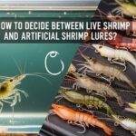 angler comparing live shrimp and artificial shrimp lure for inshore fishing