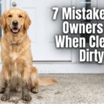Golden retriever with muddy paws sitting outside a clean front door.